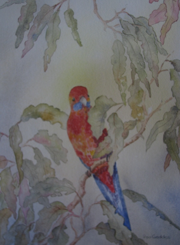 parrot